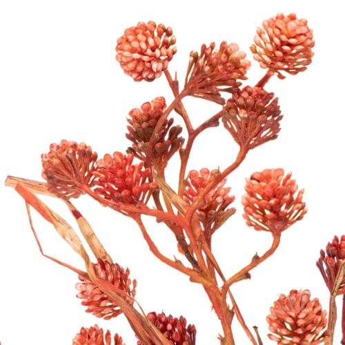 Ramo di bacche artificiali, decorazione autunnale realistica, 68 cm | Floristik24.it