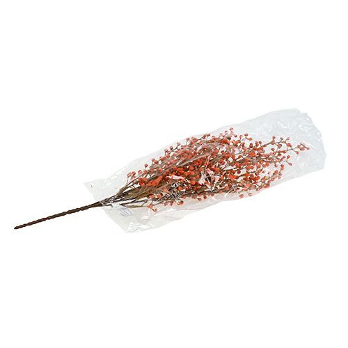 Floristik24 Ramo di bacche arancione L48cm 1pz