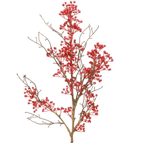 Prodotto Ramo di bacche bacche rosse decorazione ramo autunno inverno L78cm