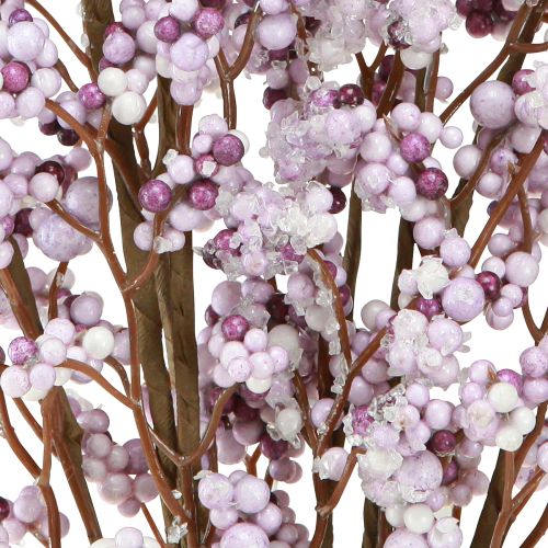 Floristik24 Ramo di bacche Ramo di Natale viola bianco gelo L60cm 2 pz