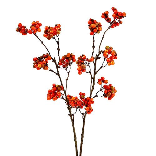 Floristik24 Ramo di bacche arancio L50cm 4pz