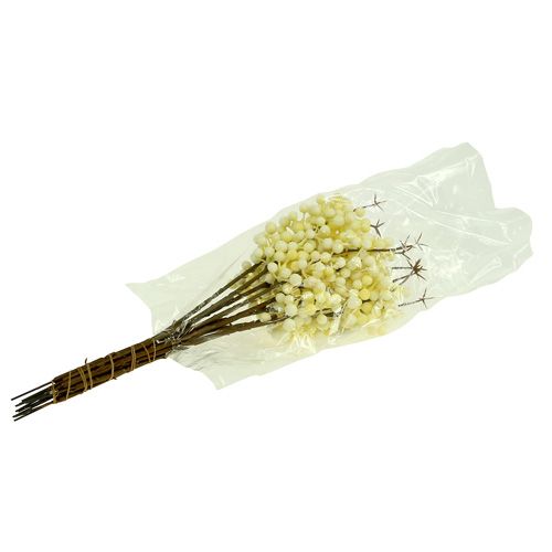 Prodotto Ramo di bacche L30cm 12 pezzi