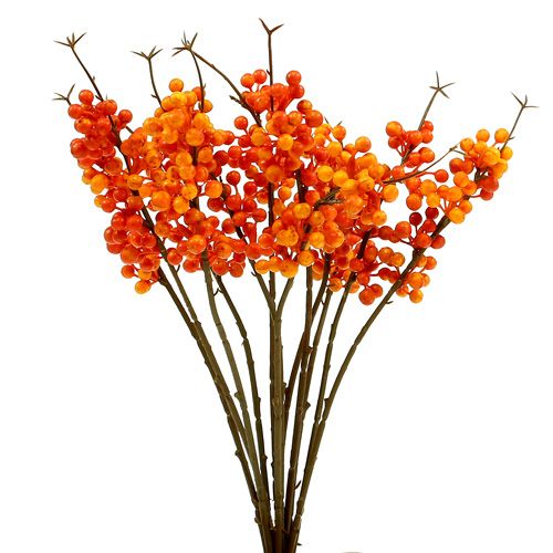 Floristik24 Ramo di bacche arancio L 30cm 12pz