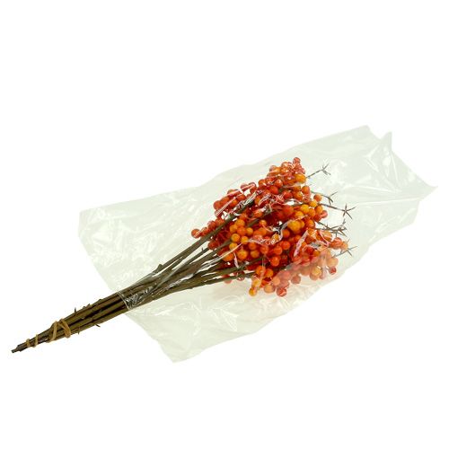 Floristik24 Ramo di bacche arancio L 30cm 12pz