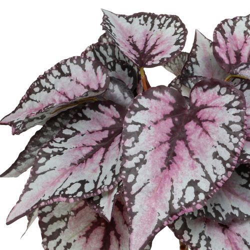 Floristik24 Cespuglio di begonia artificiale Bordeaux 37cm