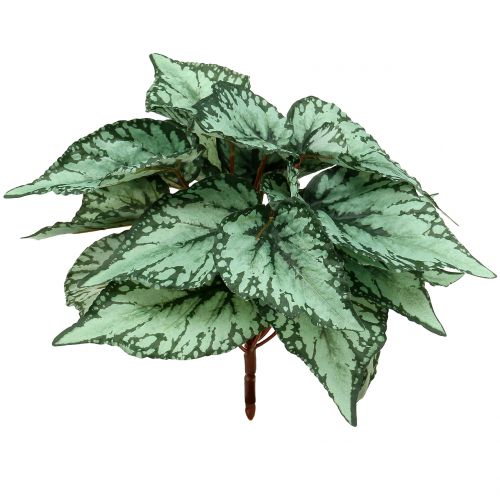 Floristik24 Cespuglio di begonia artificiale pianta artificiale verde 34 cm