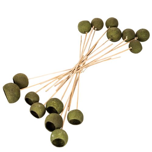 Campanula su stelo, verde, fiori esotici essiccati, 5 cm, 15 pezzi | Floristik24.it