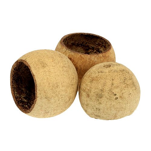 Prodotto Bell Cup piccola naturale 25 pz