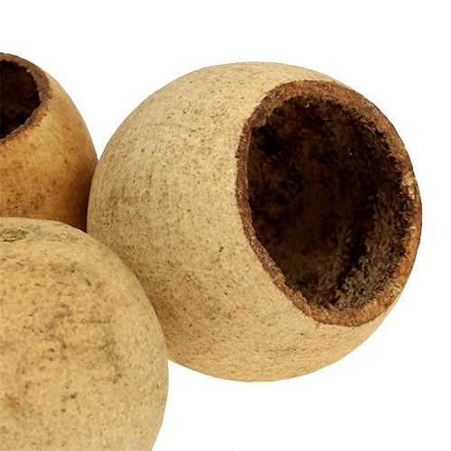 Prodotto Bell Cup piccola naturale 25 pz