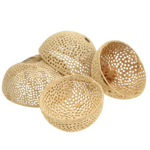 Floristik24 Coppa Campana di Frutta Secca Decorazione Naturale per Lutto 8,5-11 cm 10 pz