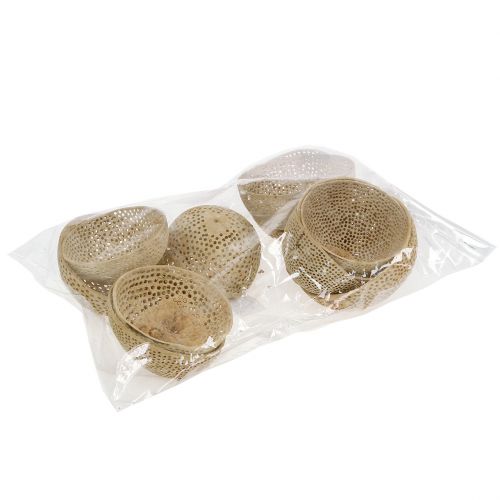 Prodotto Coppa Campana di Frutta Secca Decorazione Naturale per Lutto 8,5-11 cm 10 pz