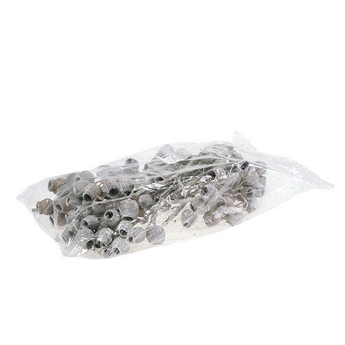 Prodotto Ramo di Bellgum con 5-7 frutti lavati di bianco 20 pz