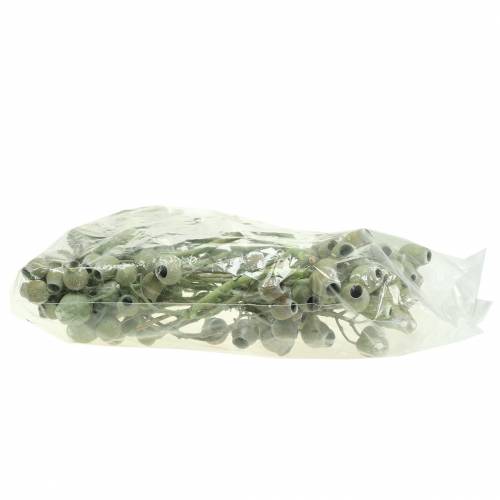 Prodotto Ramo di Bellgum 5 cm - 7 cm verde smerigliato 20 pz