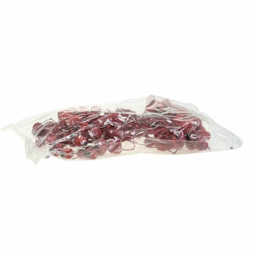 Prodotto Ramo di Bellgum 5 cm - 7 cm rosso smerigliato 20 pz