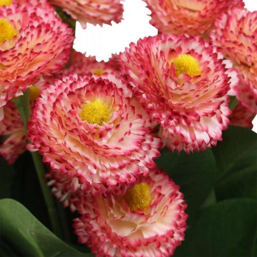 Prodotto Fiore artificiale, bellis artificiale a mazzetto, margherite bianco-rosa L32cm 10pz