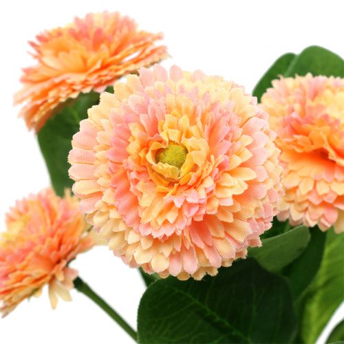 Floristik24 Margherita artificiale color pesca 24cm 2pz