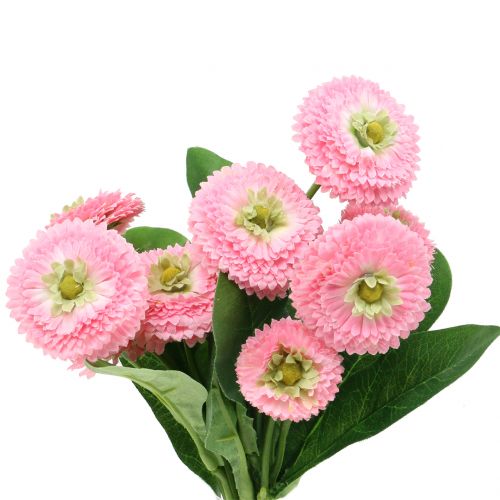 Floristik24 Bellisbund Rosa 24cm 2 pezzi