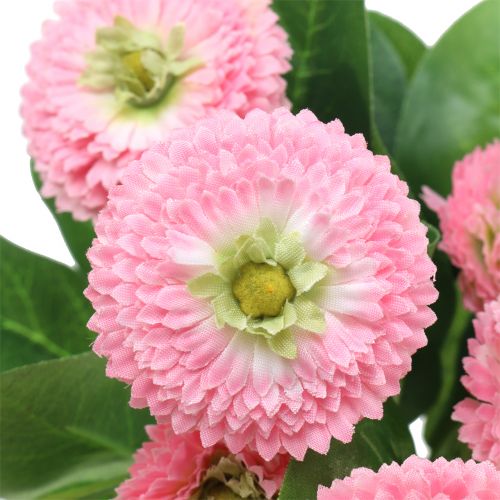 Floristik24 Bellisbund Rosa 24cm 2 pezzi