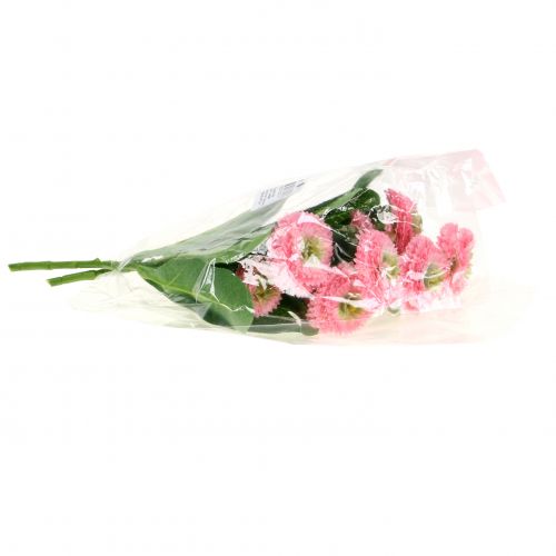 Floristik24 Bellisbund Rosa 24cm 2 pezzi