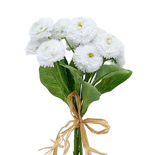 Floristik24 Bellis bouquet bianco 24 cm 3 pezzi