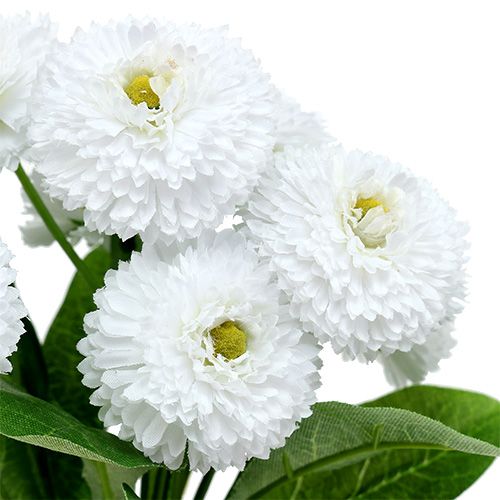 Floristik24 Bellis bouquet bianco 24 cm 3 pezzi