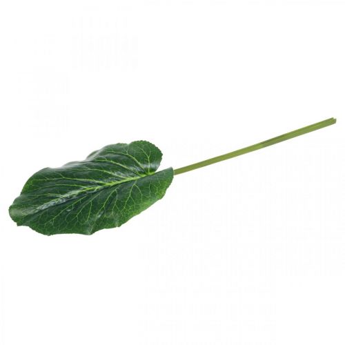 Prodotto Pianta Artificiale Verde Bergenia Pianta Verde Artificiale 53cm