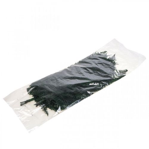 Prodotto Felce di montagna Felce decorativa foglie di felce conservate verdi 45 cm 20 pz