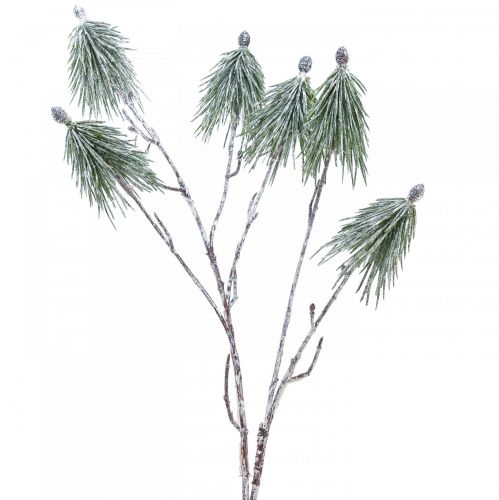 Floristik24 Decorazione invernale ramo di pino mugo innevato artificialmente L70cm