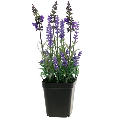 Floristik24 Lavanda artificiale in vaso H25cm