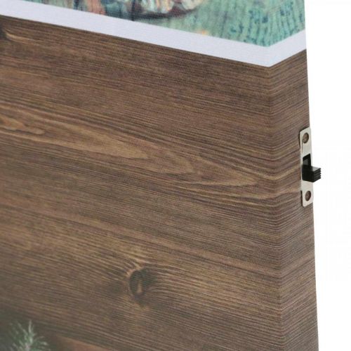 Floristik24 LED murale Decorazione LED marrone natalizia 38 × 38 cm Per batteria