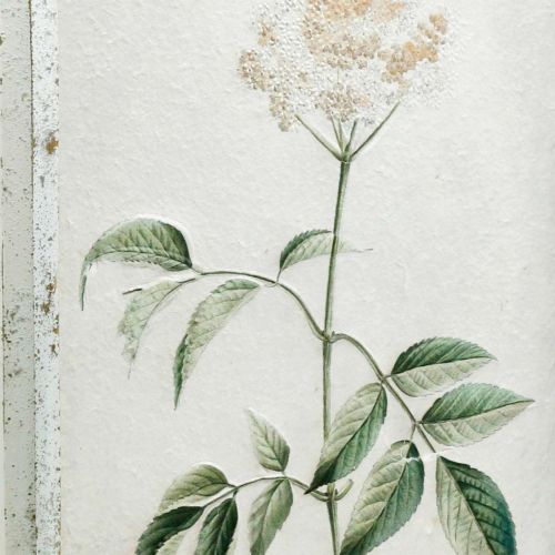 Prodotto Quadro con cornice in legno shabby chic, decorazione murale floreale 40×50cm