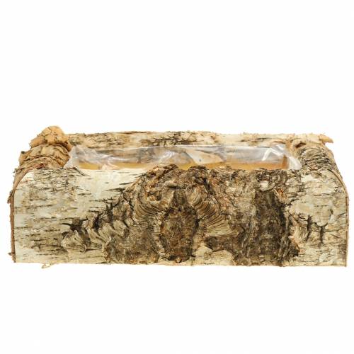 Floristik24 Betulla fioriera 30 cm x 20 cm H8 cm