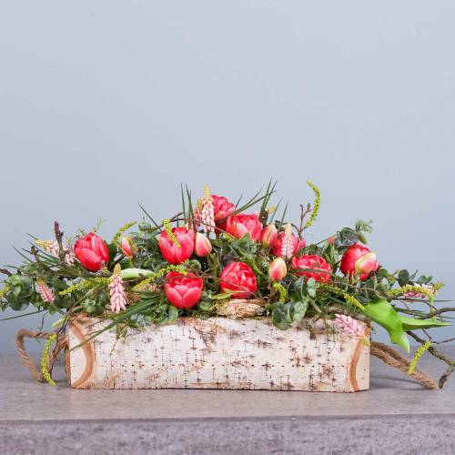 Floristik24 Fioriera betulla con manici in corda 38x16cm H9cm