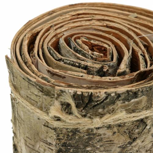 Floristik24 Nastro in corteccia di betulla naturale L2m L10cm