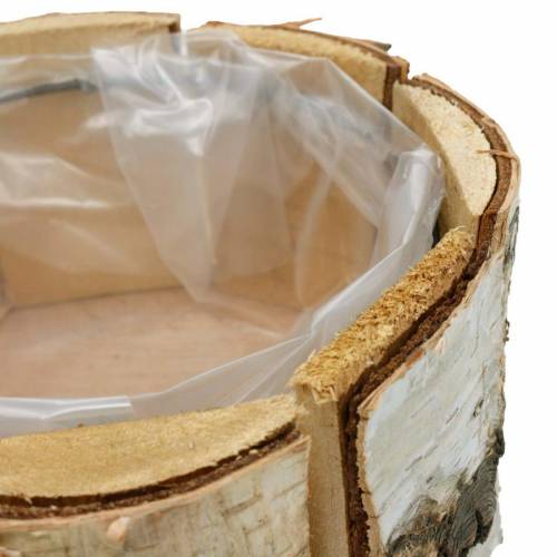Floristik24 Vaso per piante in betulla vaso in betulla naturale rotondo fioriera in legno Ø13cm