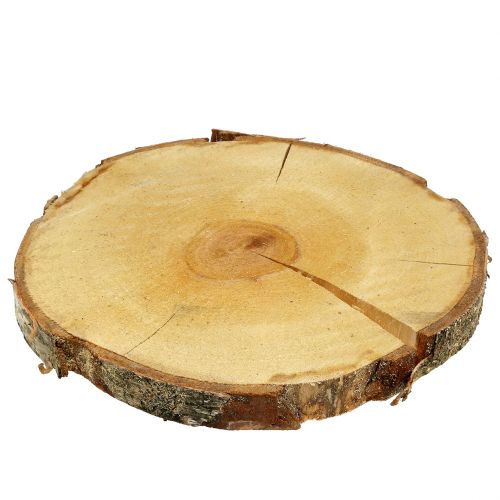 Fetta di betulla naturale Ø30cm - 35cm