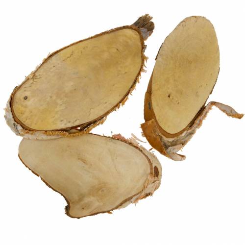 Floristik24 Dischi in legno betulla ovale naturale 7,5×13cm 1kg