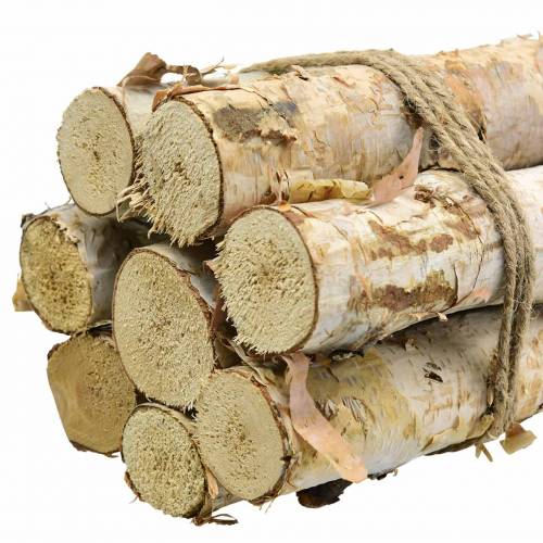 Floristik24 Rami di betulla impacchettati naturali 40cm
