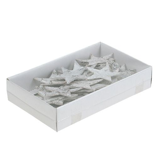 Prodotto Stella di betulla imbiancata 6,5 cm 36 pz