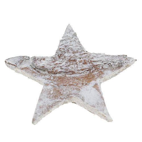 Prodotto Stelle di betulla mini 2 cm - 2,5 cm imbiancate 150 pz