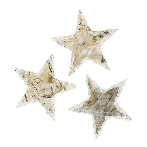 Floristik24 Stelle di betulla innevate naturali 6,5 cm 30 pz