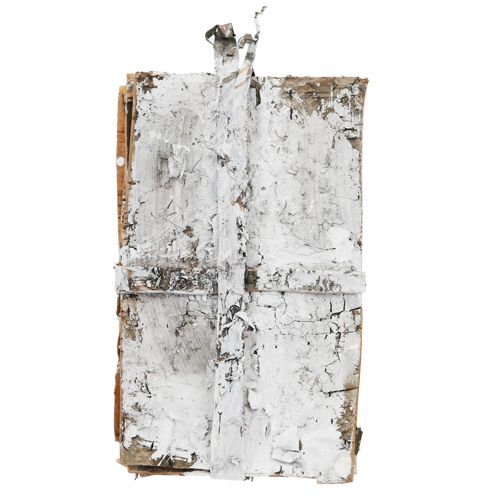 Floristik24 Fette di corteccia 20 cm x 12 cm bianche, lavate 8 pz