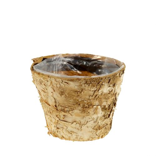 Floristik24 Fioriera rotonda decorazione naturale corteccia di betulla vaso Ø12cm H10cm 5pz