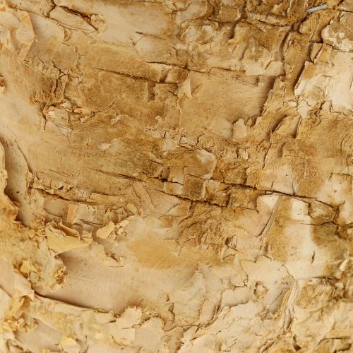 Prodotto Fioriera rotonda decorazione naturale corteccia di betulla vaso Ø12cm H10cm 5pz