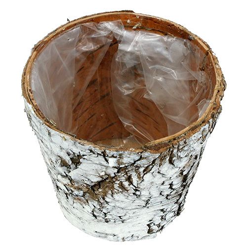 Prodotto Vaso di betulla fioriera piccola betulla bianca Ø10cm H8,5cm 6 pz