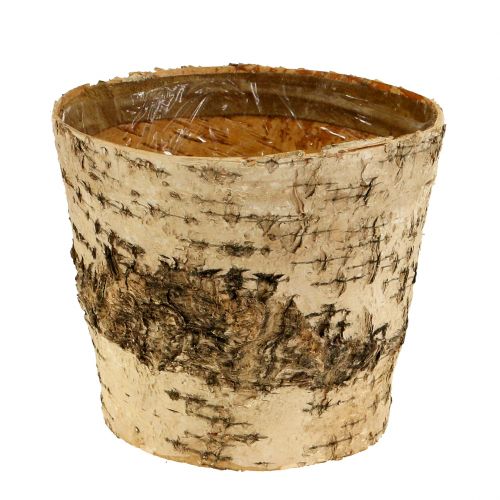 Vaso in betulla Ø15cm H13cm