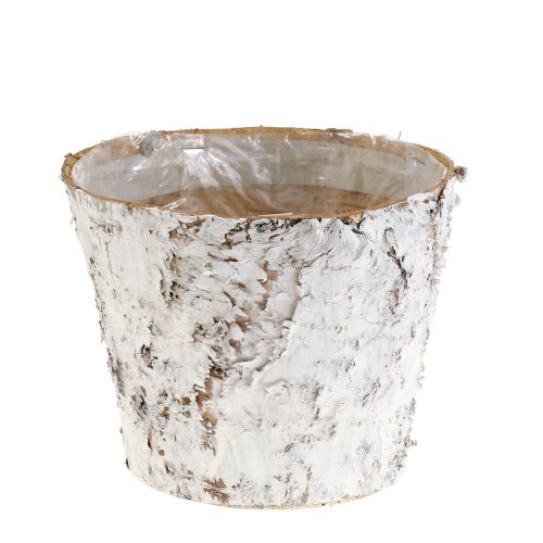 Prodotto Vaso con vaso per piante in corteccia di betulla sbiancata Ø15cm H12,5cm 3 pz