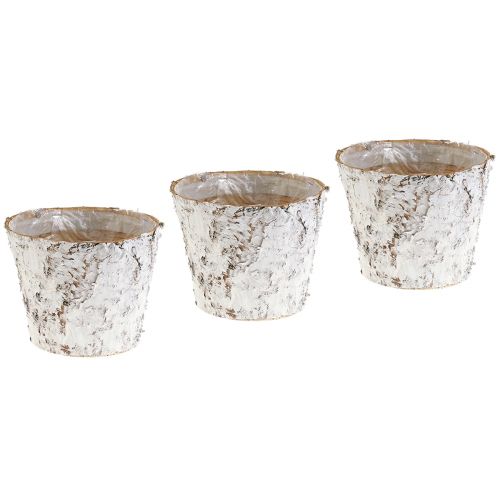 Floristik24 Vaso con vaso per piante in corteccia di betulla sbiancata Ø15cm H12,5cm 3 pz