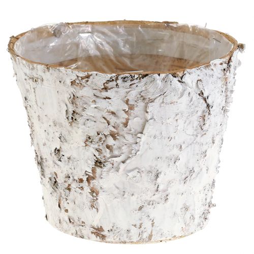 Prodotto Vaso decorativo vaso per piante in betulla sbiancata Ø18cm H15cm 2 pezzi