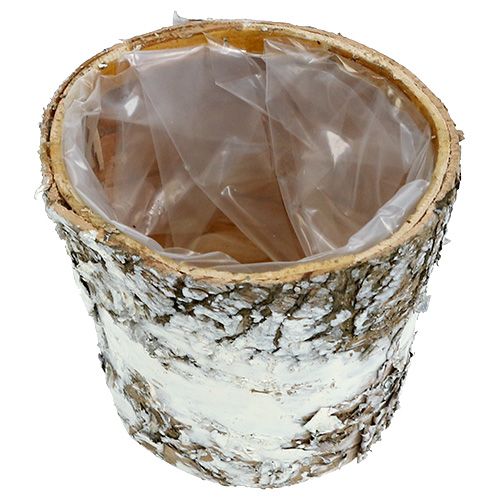 Prodotto Mini vaso di betulla bianco fioriera Ø7cm H7cm 10 pezzi